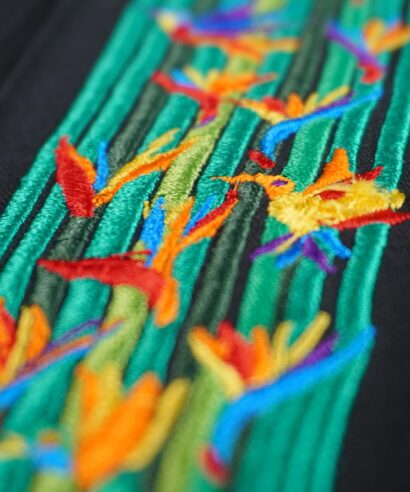 Aves-de-paraíso-negra-compra-5